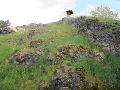 Trockenrasen